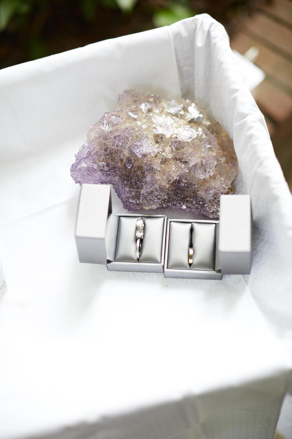 Ra Tat Gianna Leo Falcon Wedding Photography New York