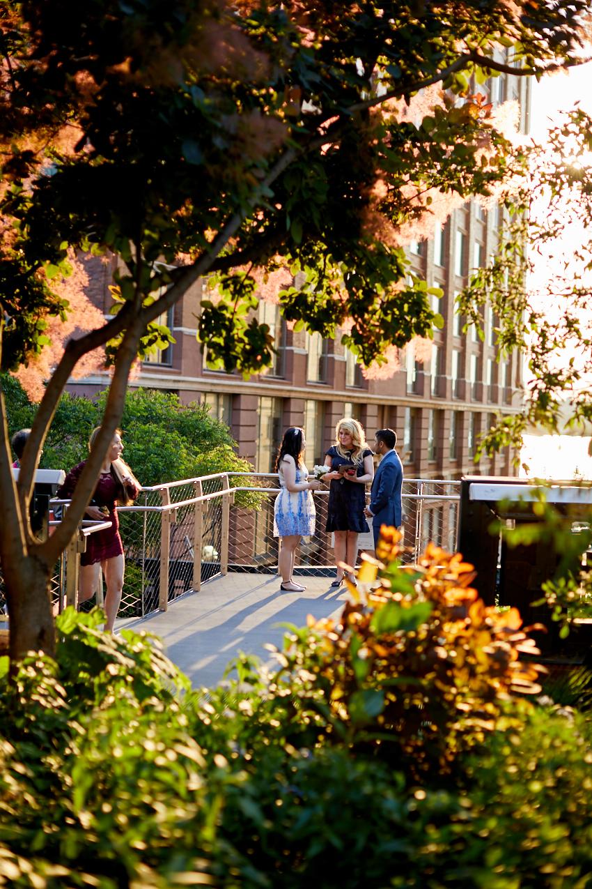 Alice Gianna Leo Falcon Wedding Photography New York