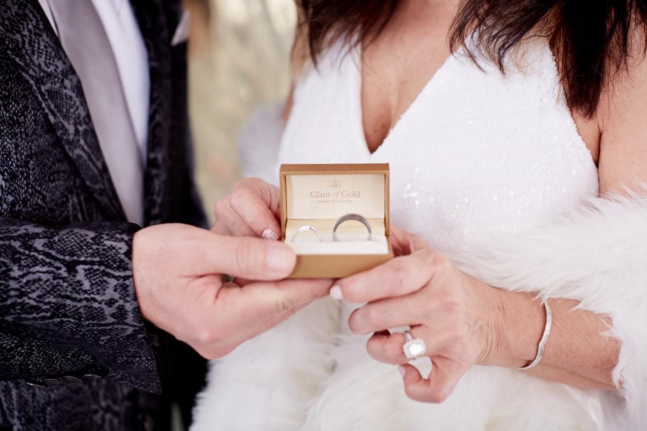 Carls Gianna Leo Falcon Wedding Photography New York