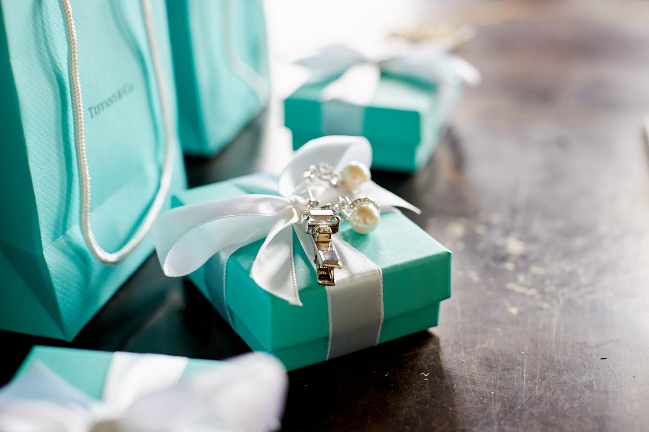 Lex Gianna Leo Falcon Wedding Photography New York